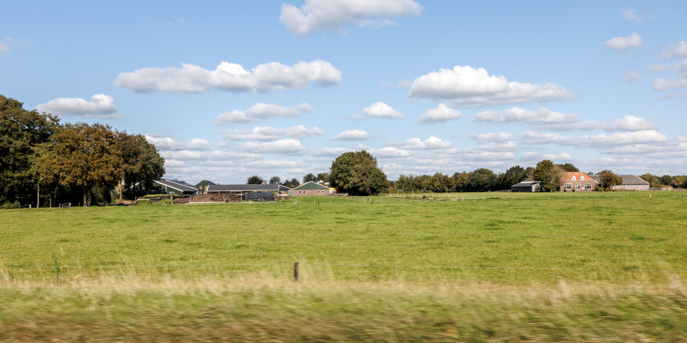Boerderijen in het landschap