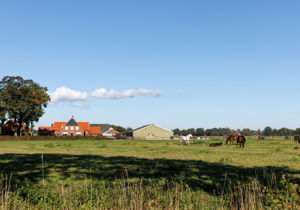Boerderij in het landschap met paarden in de wei