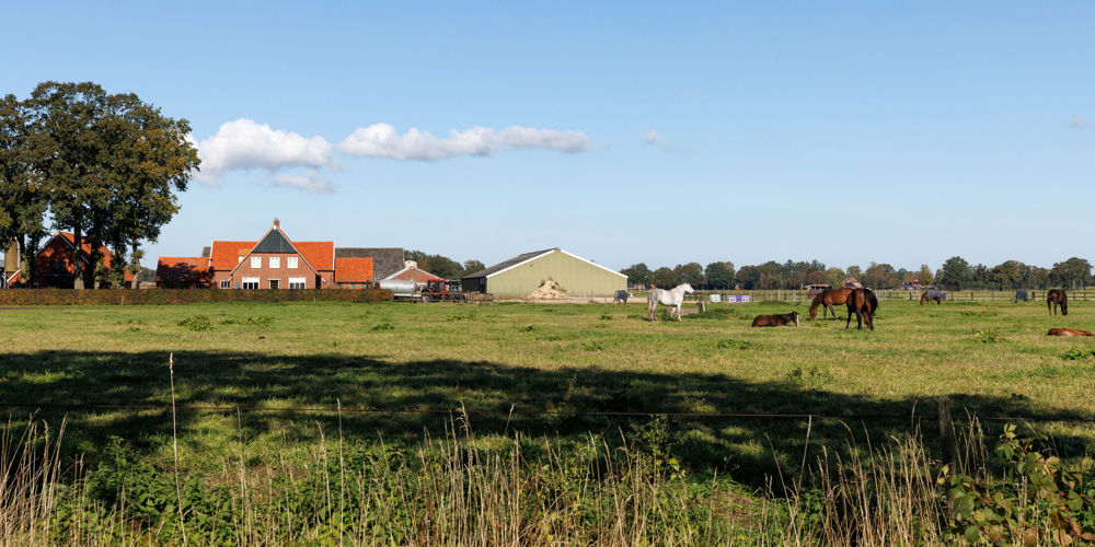 Boerderij in het landschap met paarden in de wei