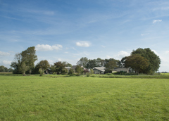grasland, boerderij met bomen eromheen