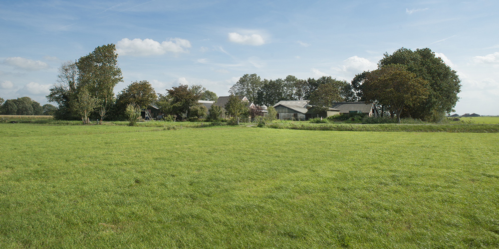 grasland, boerderij met bomen eromheen